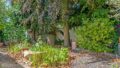 Garten vorn