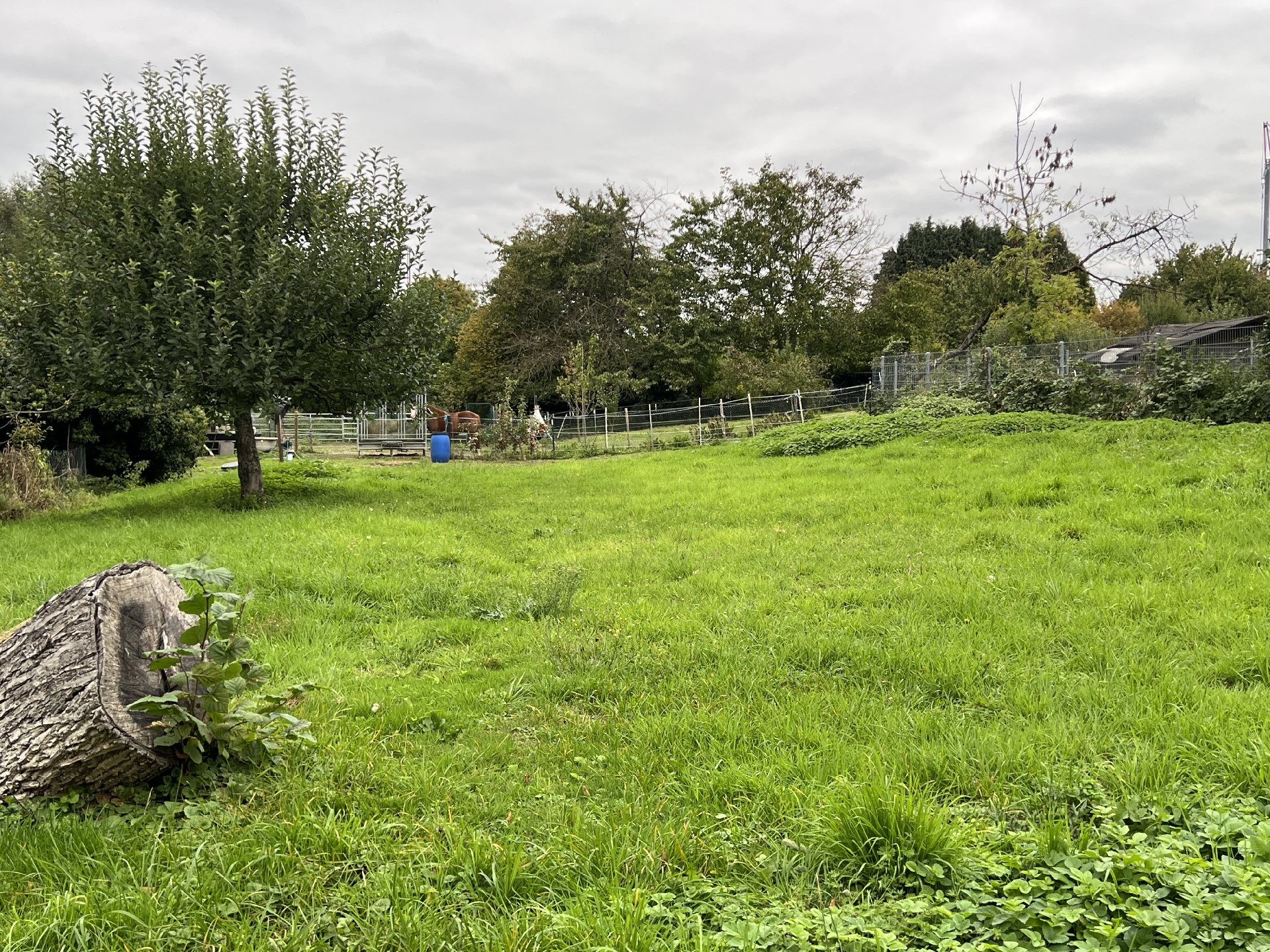 Grundstück (Hausnr.18)