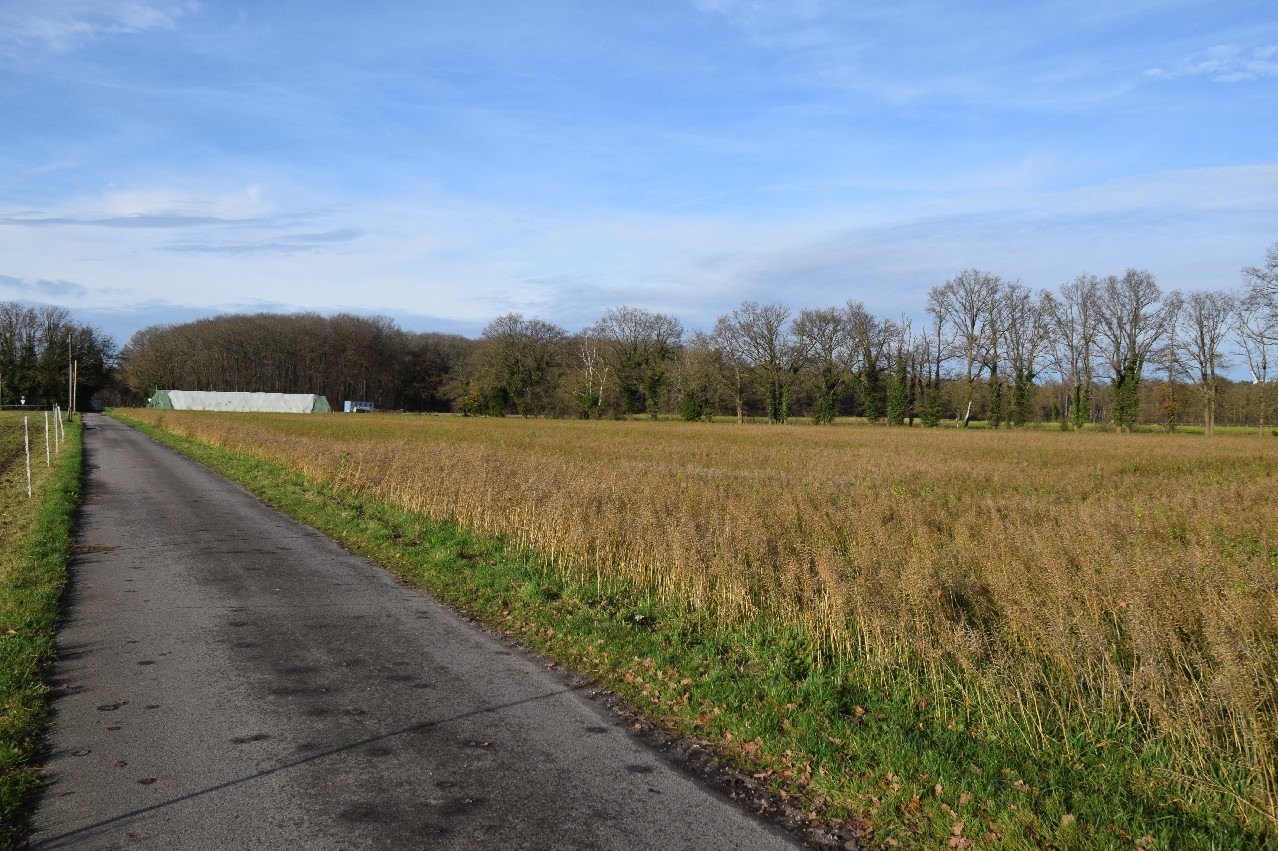 Foto der Immobilie (18491)