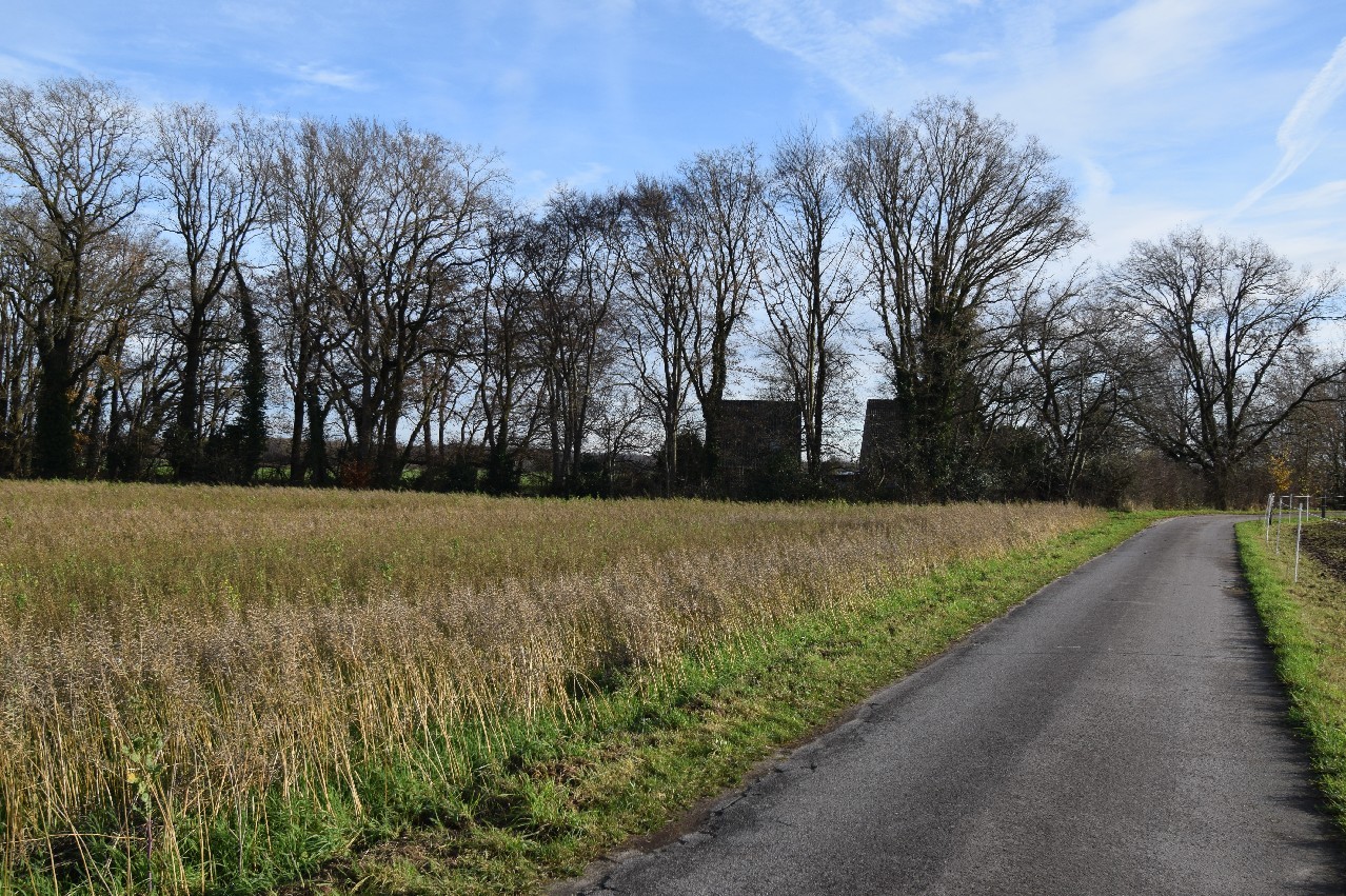 Foto der Immobilie (18492)