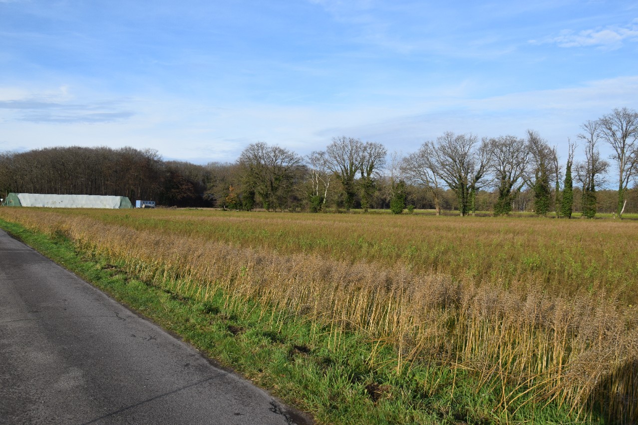 Foto der Immobilie (18493)