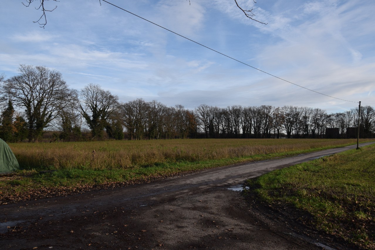 Foto der Immobilie (18494)