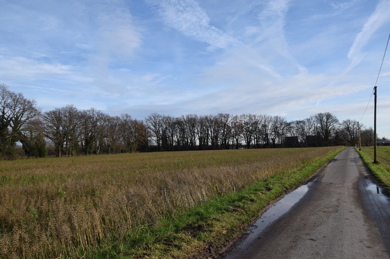 Foto der Immobilie (18496)