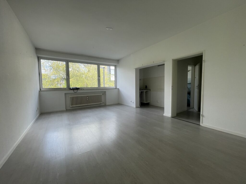 Wohnzimmer mit Kochnische