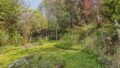 Gartenansicht