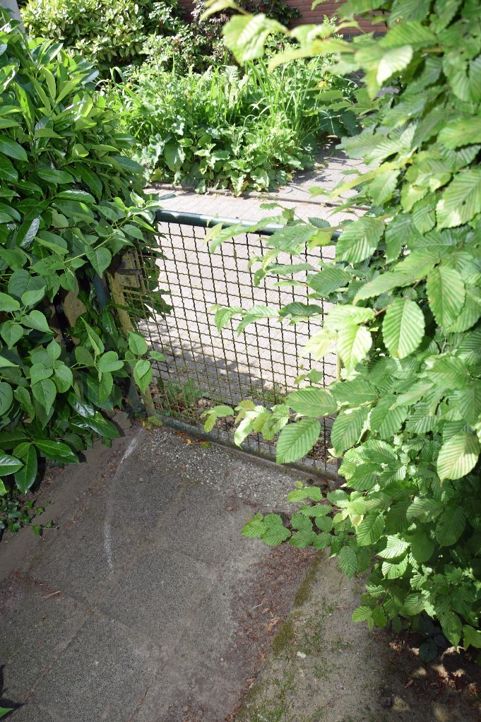 rückwertiger Gartenzugang