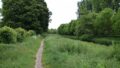 Radweg am Grundstück