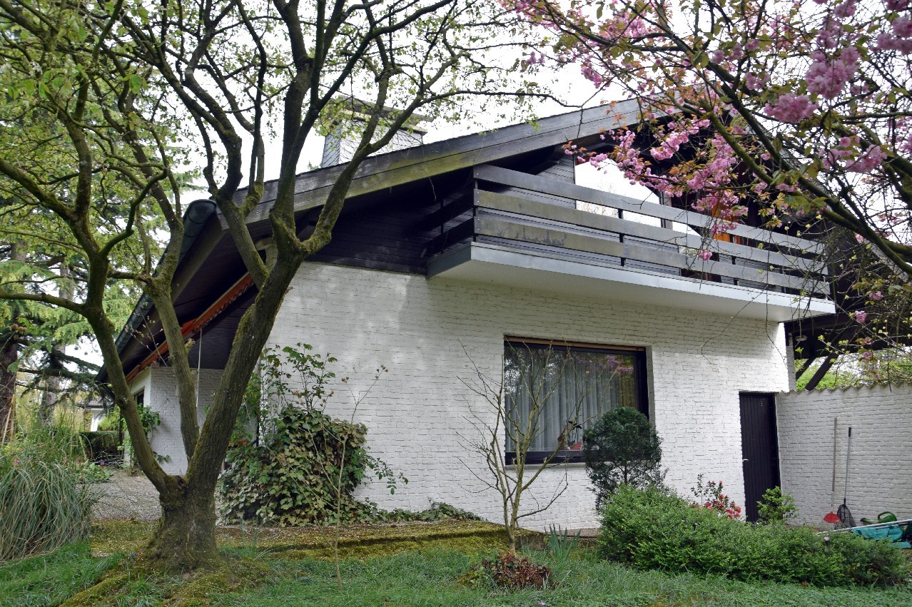 Gartenansicht (Frühjahr)