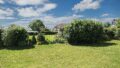 Blick in Garten und Natur