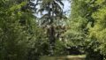Blick in den Garten 2