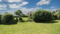 Blick in Garten und Natur
