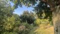 Blick in den Garten