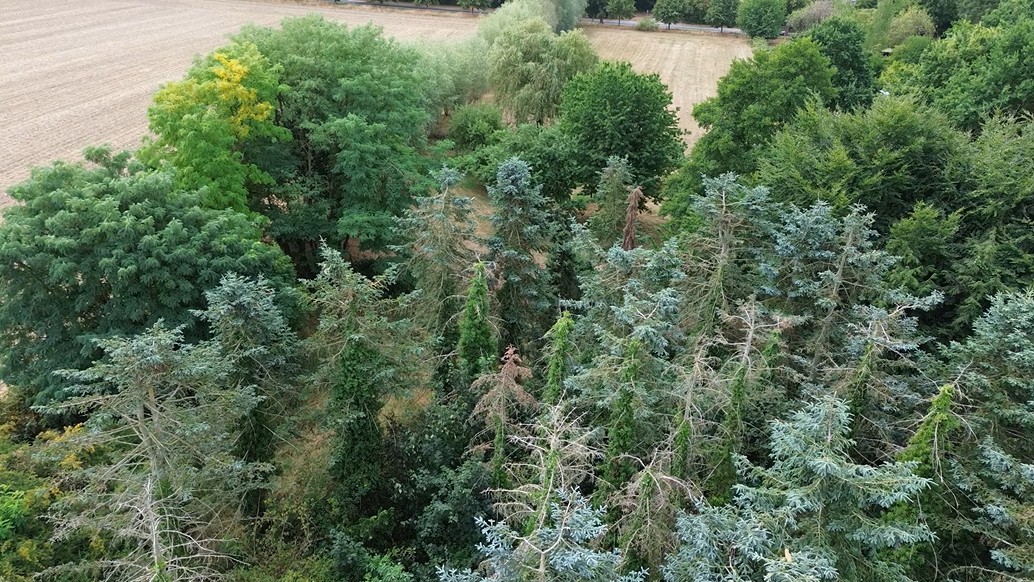 Grundstück
