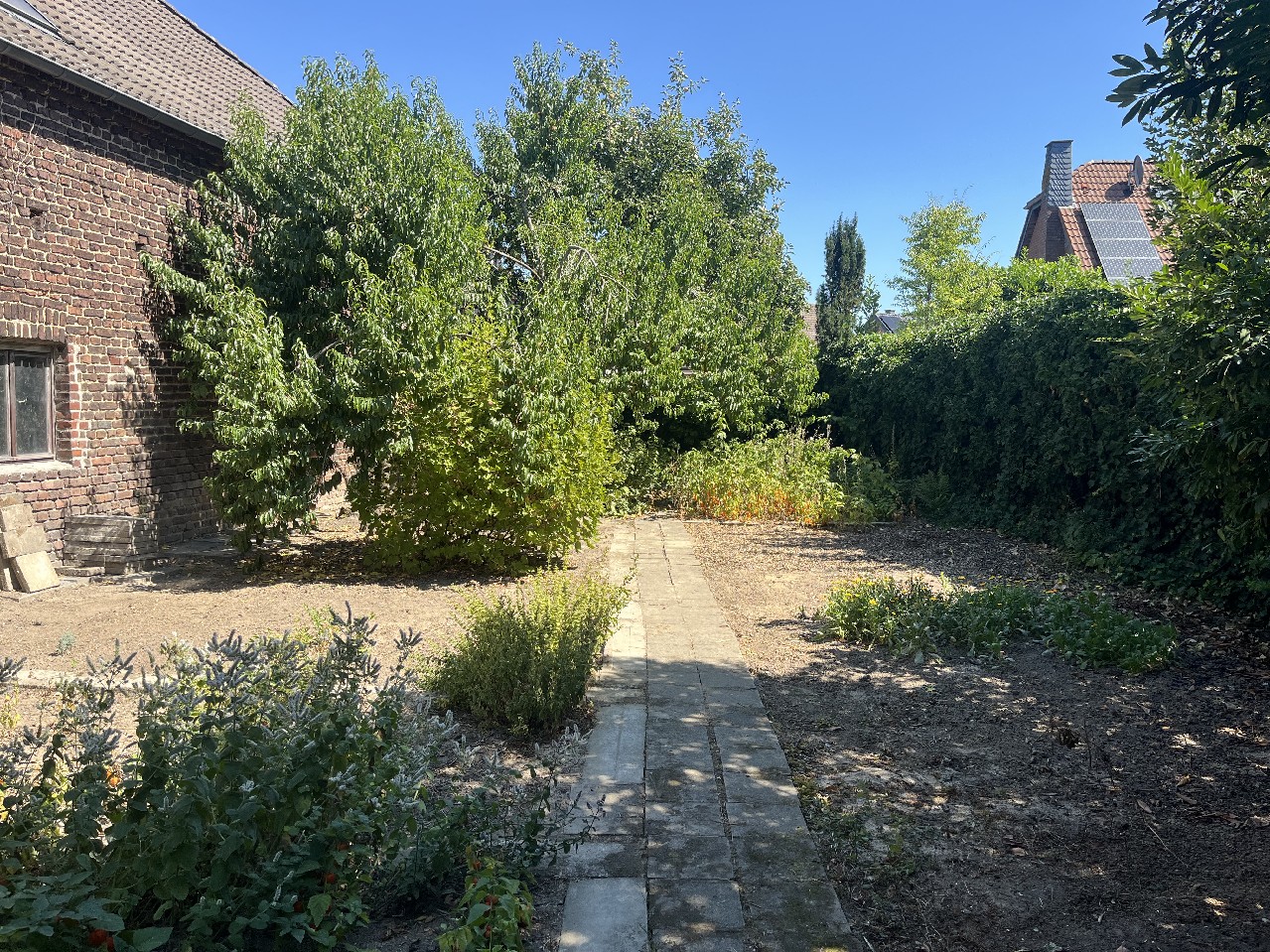 Nutzgarten mit Obstbäumen