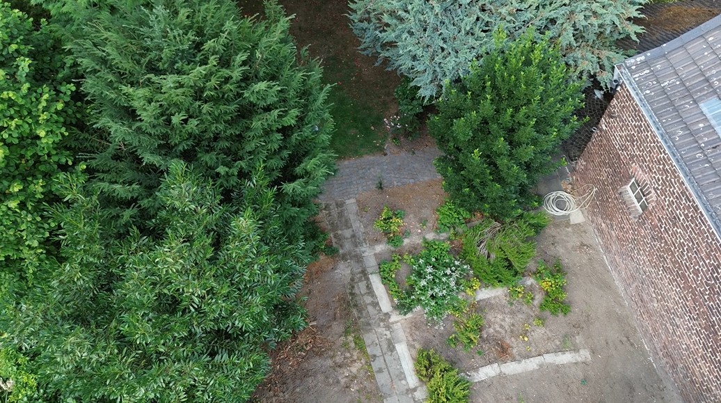 Gemüse und Obstgarten mit Pfirsichbäumen