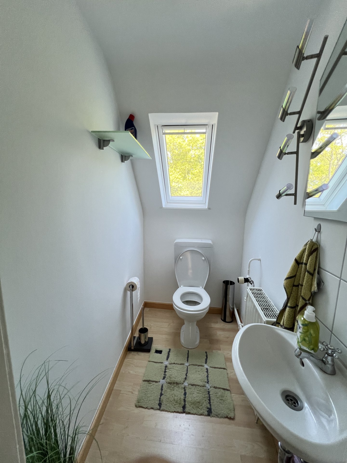 WC DG