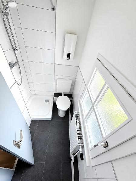 Modernes Tageslicht-Duschbad