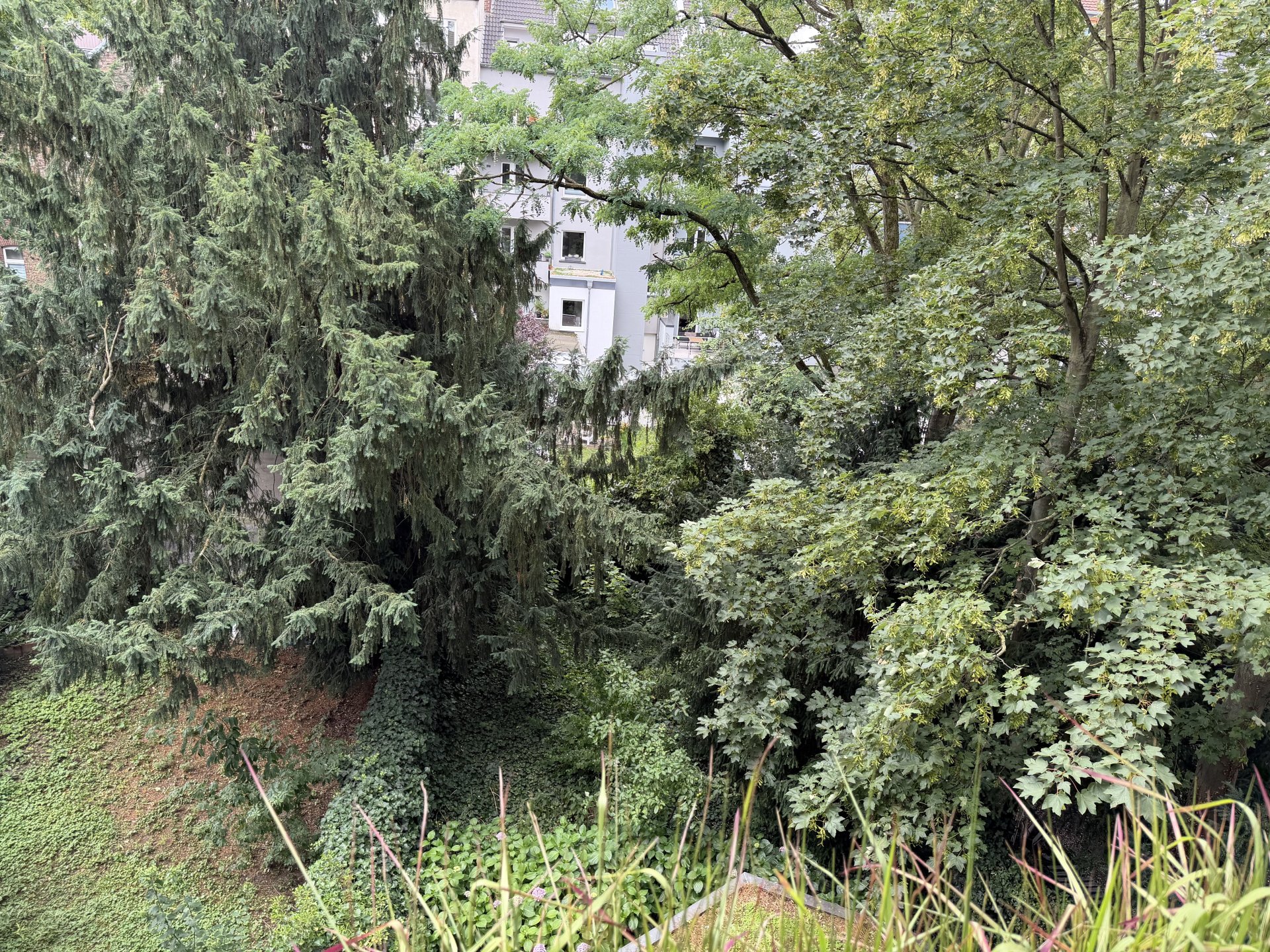 Balkonblick in die Gärten