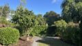 Blick in den Garten
