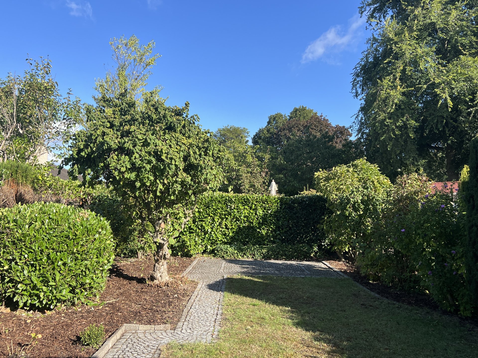 Blick in den Garten