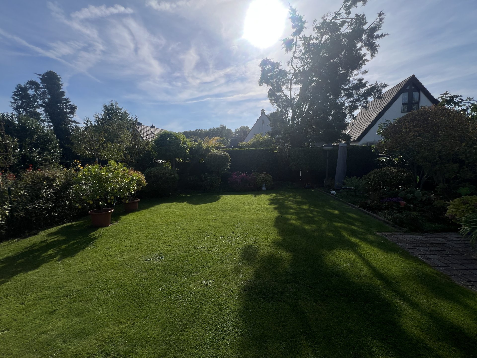 Ausblick in den Garten