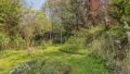 Gartenansicht