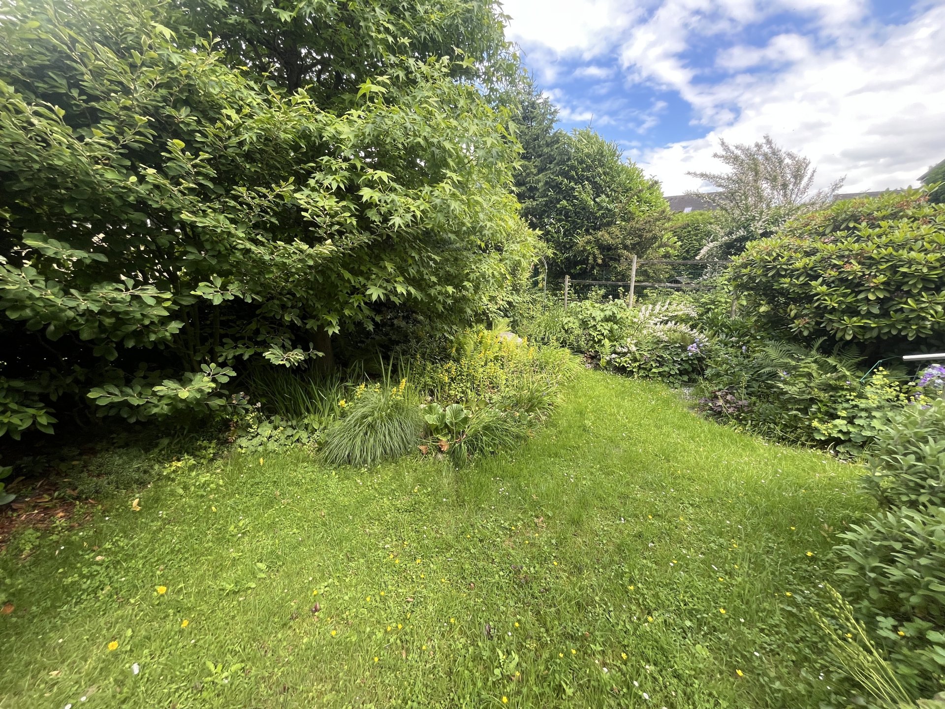 Blick in den Garten II